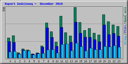 Raport Godzinowy -  December 2010