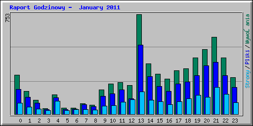 Raport Godzinowy -  January 2011
